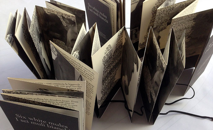 i-sei-muli-bianchi aperti sul tavolo